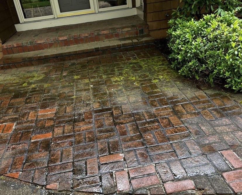 Brick walkway and front steps covered in green moss and grime