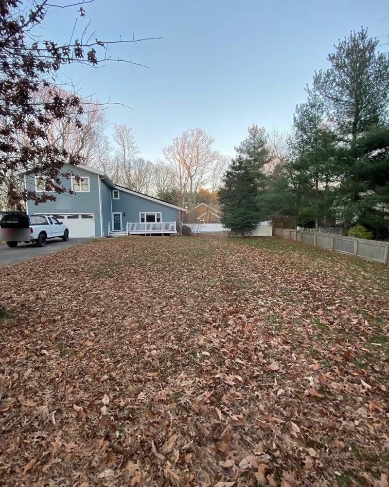 Front lawn completely covered in fallen leaves before a fall cleanup