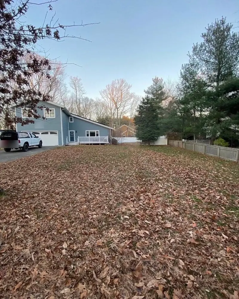 Front lawn completely covered in fallen leaves before a fall cleanup