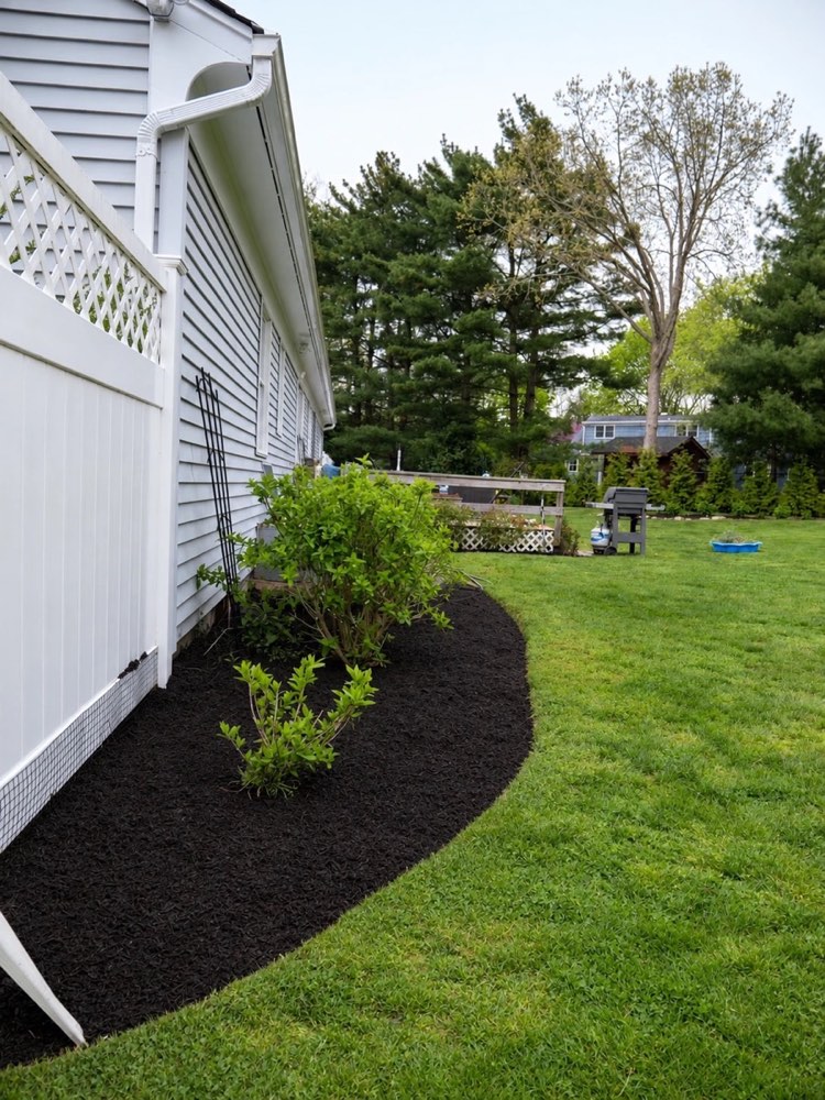 The same bed cleaned up with a crisp curved edge and fresh black mulch