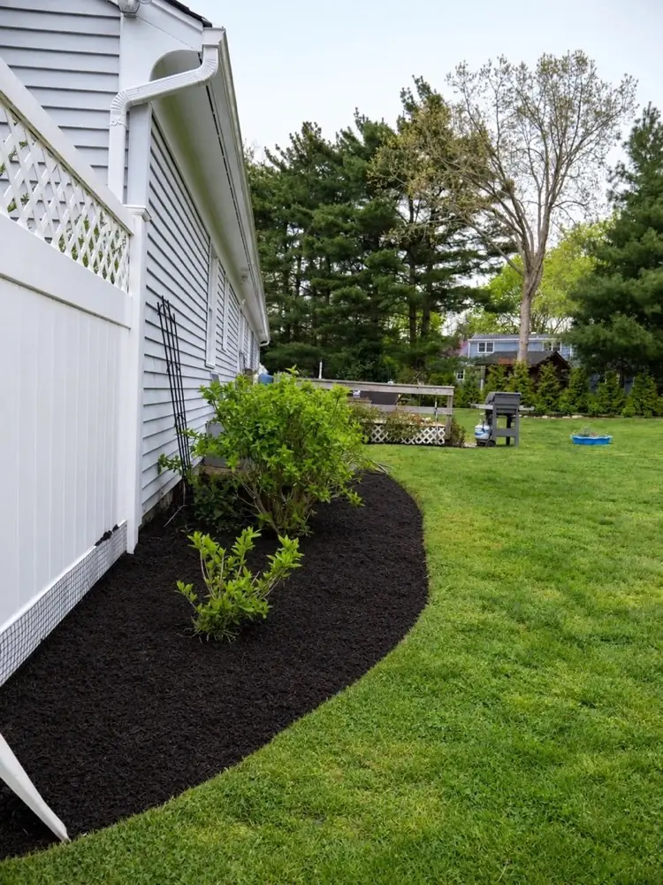 The same bed cleaned up with a crisp curved edge and fresh black mulch