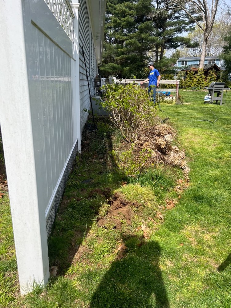 Overgrown, weedy garden bed along the side of a house before mulching