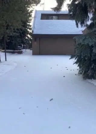 Driveway covered in snow, before snow removal